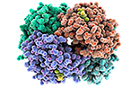 Disease Protein 이미지